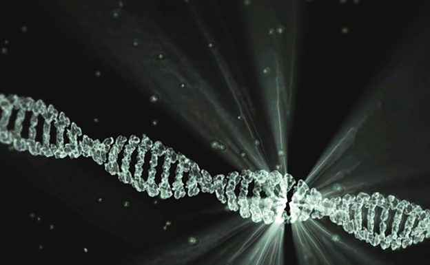 DNA 雙股維持結合狀態,疏水性才是背後關鍵力量