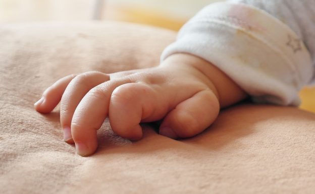 古老的演化痕跡:科學家發現,人類胚胎有蜥蜴般的手部肌肉