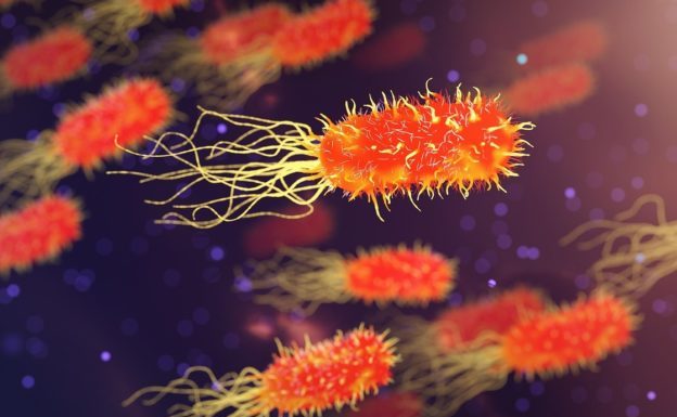 為超級細菌戰填充新彈藥:科學家發現全新抗菌毒素