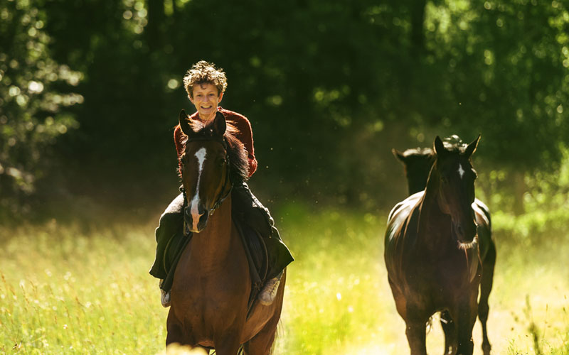 「紐約時報」年度十大小說《外出偷馬》奧斯卡最佳外國電影挪威代表
