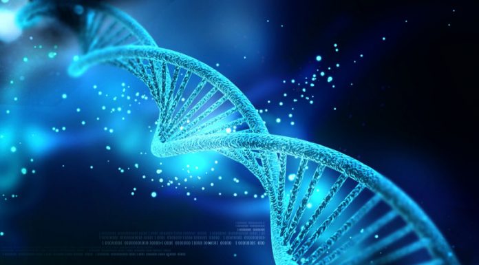 美科學家打臉賀建奎,批基因編輯抗愛滋是謊言