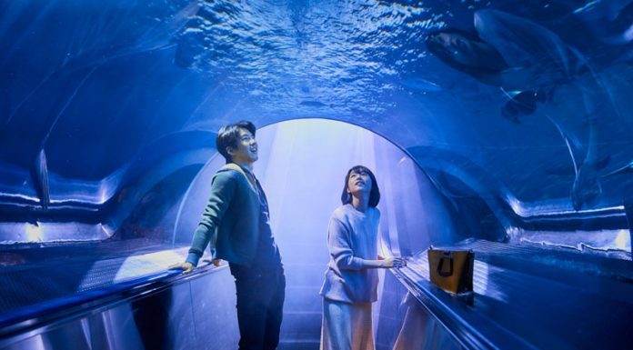 《你的情歌》傅孟柏化身「天菜老師」與柯佳嬿海中約會超浪漫