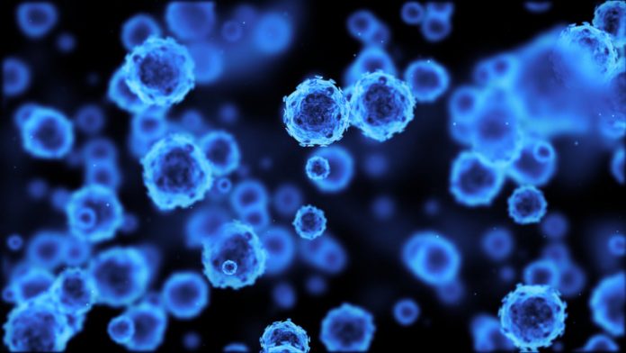 shutterstock_549666394