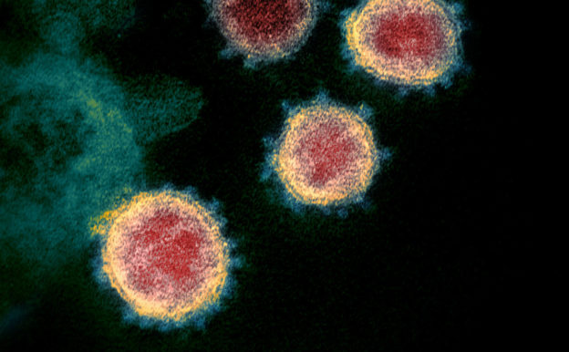 巴西完成首例武漢肺炎病毒基因定序,發現突變