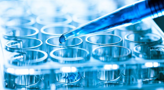 國光武漢疫苗獲初步結果,盼 2021 年冬天全民接種